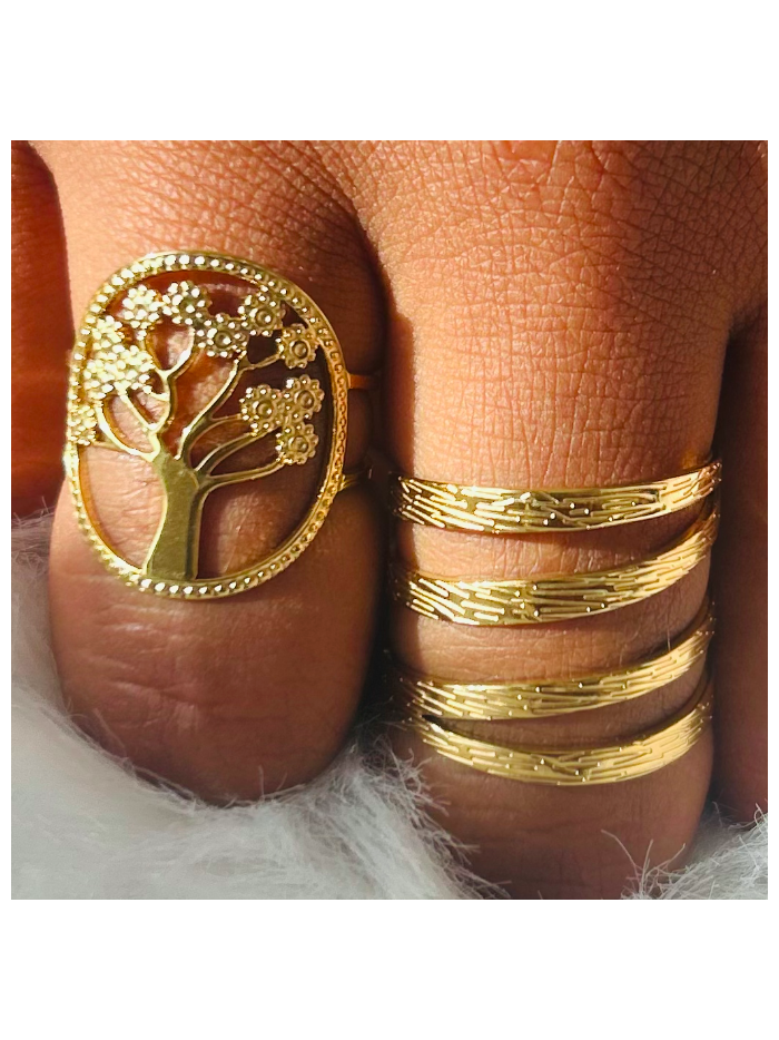 Bague acier inoxydable MULTIRANGS