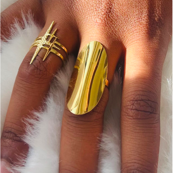 Bague acier inoxydable LINAIS