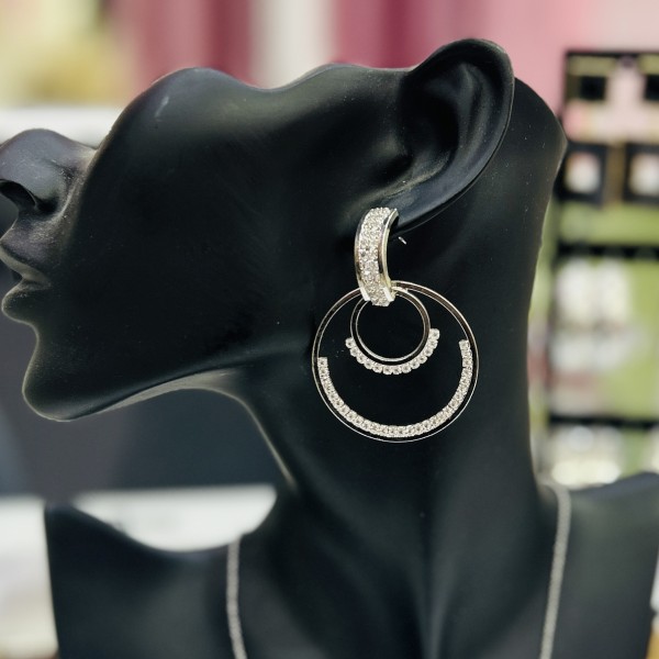 Boucles d'oreilles LEO acier inoxydable argent